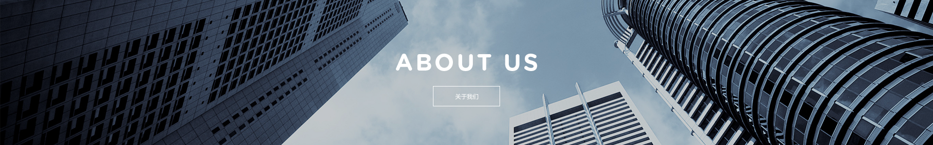 我們的優勢